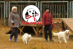 "Уроки добра", в рамках зоозащитной акции "Погуляй-ка!" "Уроки добра", в рамках зоозащитной акции "Погуляй-ка!".