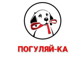 Уроки добра в рамках акции "Погуляйка" Уроки добра в рамках акции "Погуляйка".