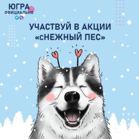 Участие в зоозащитной акции «сНежный пес» Участие в зоозащитной акции «сНежный пес».