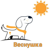 Проведение в ДОУ зоозащитной акции "Веснушка" Проведение в ДОУ зоозащитной акции "Веснушка".