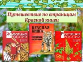 Виртуальное путешествие по страницам "Красной книги" Виртуальное путешествие по страницам "Красной книги".