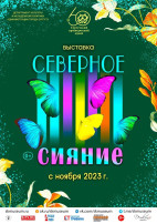 Посещение выставки «Северное сияние» Посещение выставки «Северное сияние».